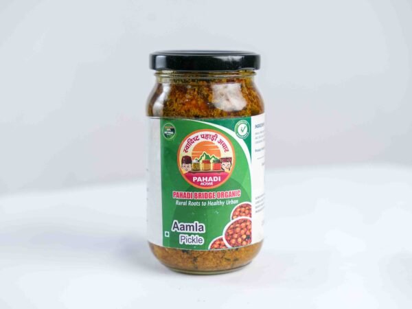 Pahadi Amla Pickle - Image 2